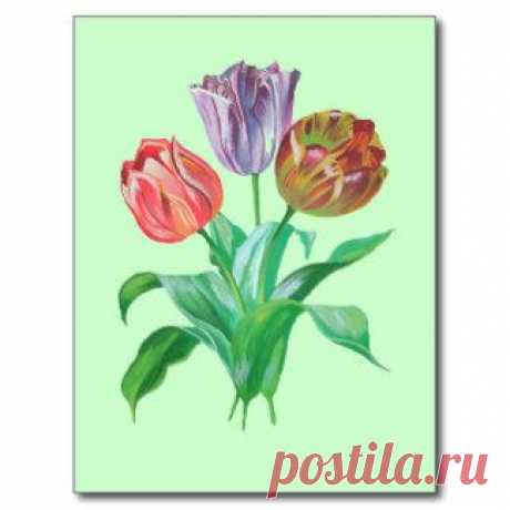 Bouquet Of Tulips Postcards &amp; Postcard Template Designs | Zazzle