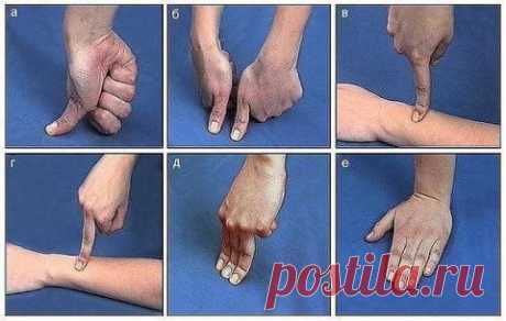 Секреты здоровья. О чём молчат врачи 




Лечим себя
Упражнения для пальцев (шиацу)
 
Наши пальцы могут лечить наше тело.
 
 
Гибкость и подвижность пальцев свидетельствует о состоянии внутренних органов.
Причём каждый палец отвечает за …