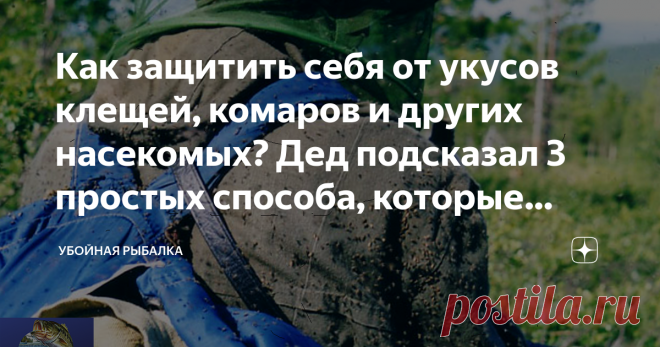 Как защитить себя от укусов клещей, комаров и других насекомых? Дед подсказал 3 простых способа, которые 