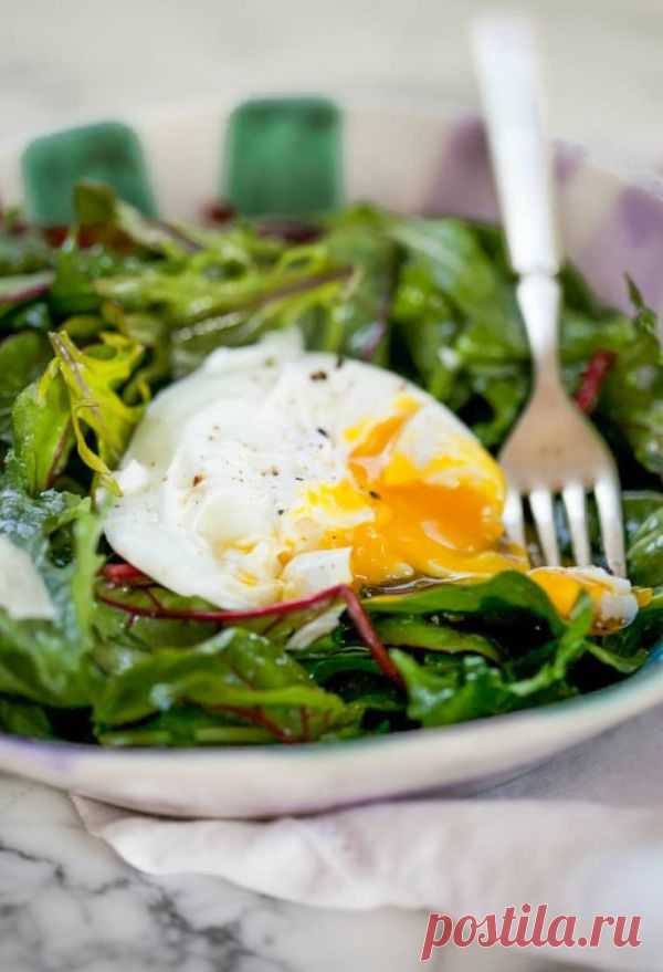 👌 Как правильно приготовить яйцо-пашот, рецепты с фото