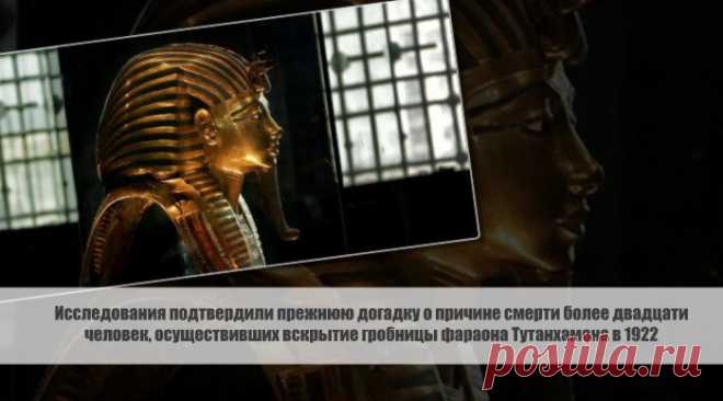Исследования подтвердили прежнюю догадку о причине смерти более двадцати человек, осуществивших вскрытие гробницы фараона Тутанхамона в 1922 Статья автора «VestiNews.