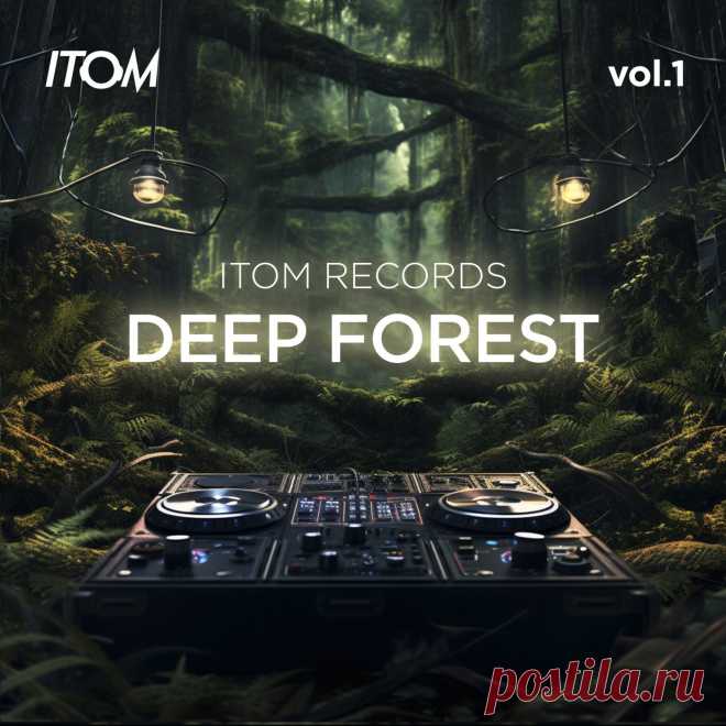 VA - Deep Forest, Vol. 1 ITRDF001 » MinimalFreaks.co