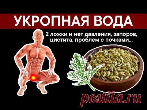 УКРОПНАЯ ВОДА. 2 ложки и нет давления, запоров, цистита, проблем с почками...