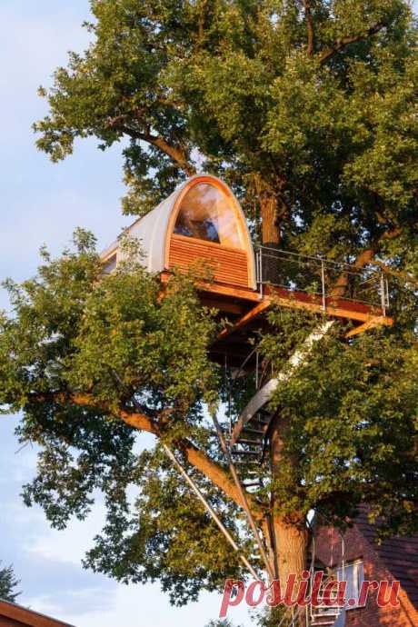 55 Modelos de Casas na Árvore Modernas e Arrojadas