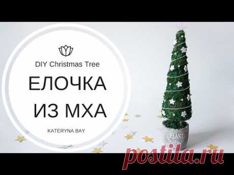 Как сделать декоративную елку из мха❄️Елочка своими руками❄️DIY Christmas Tree