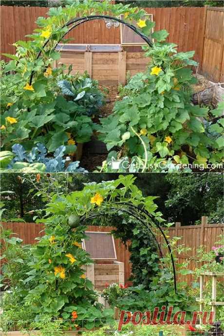 24 Easy DIY Garden Trellis Ideas & Plant Structures - A Piece of Rainbow