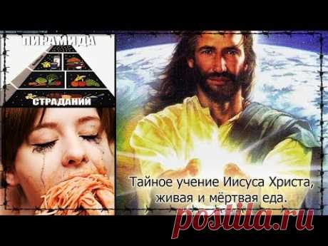 💥 Тайное учение Иисуса Христа,🌾  живая и мёртвая еда 🌱