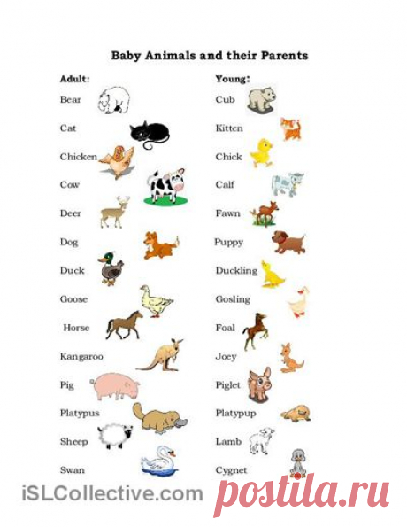 (1) Baby Animals worksheet - Free ESL printable worksheets made by teachers | English | Детеныши Животных, Животное и Esl