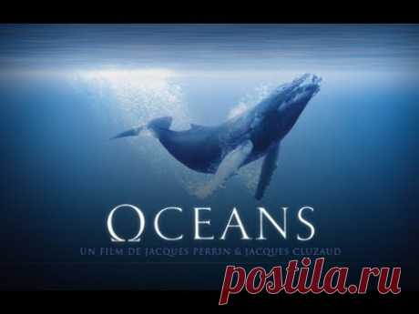 Океаны / Oceans (2009) «Океаны» (фр. Océans) — документальный фильм Жака Перрена. Документальный фильм «Океаны» (Oceans) - уникальный шанс «подсмотреть» мир, о котором люди почти н...