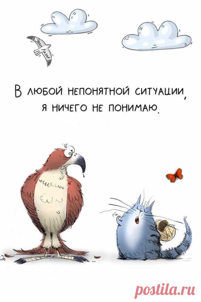 В любой непонятной ситуации (открытка 1056): Бесплатные картинки &#8226; Otkrytki.Top