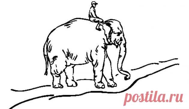 Необычный подход к созданию хороших привычек: направляйте всадника, мотивируйте слона и формируйте путь - Лайфхакер