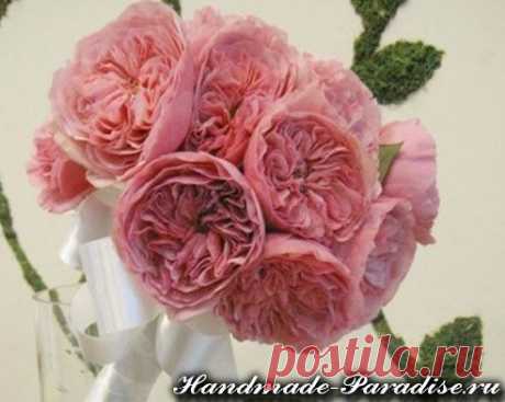 Английская роза Дэвида Остина из ткани. МК