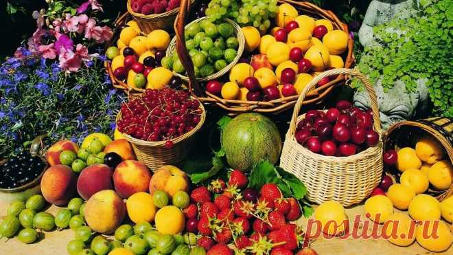 фрукты сады в умеренном: 9 тыс изображений найдено в Яндекс.Картинках