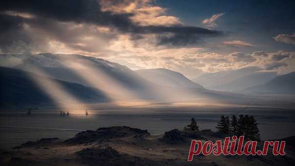 Утро в Курайской степи, Горный Алтай. Автор фото – Dmitry Antipov: nat-geo.ru/photo/user/342269/