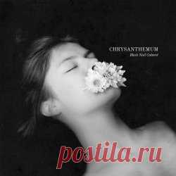 Black Nail Cabaret - Chrysanthemum (2024) Artist: Black Nail Cabaret Album: Chrysanthemum Year: 2024 Country: Hungary Style: Darkwave, Synthpop