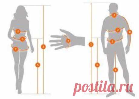 Как измерить свои размеры для выбора одежды?