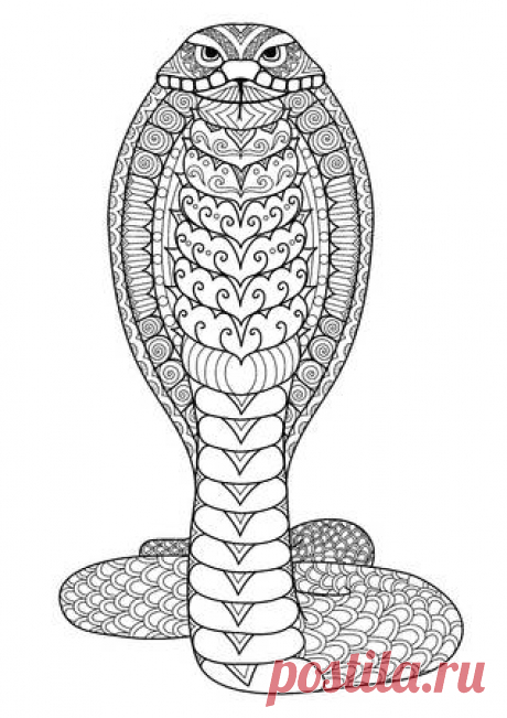 Clean lines doodle art design of Cobra snake for coloring book, T-Shirt design,tattoo and adult coloring book 123RF - Миллионы стоковых фото, векторов, видео и музыки для Ваших проектов.