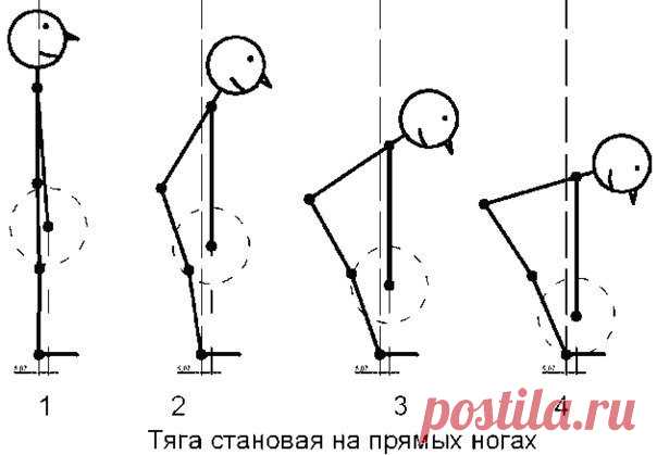 Становая тяга на прямых ногах/Румынская тяга/Классическая становая тяга / Спорт Сильных!