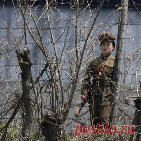 Заксенхаузен отдыхает: тюремные лагеря Северной Кореи | Александр Снитовский | Дзен