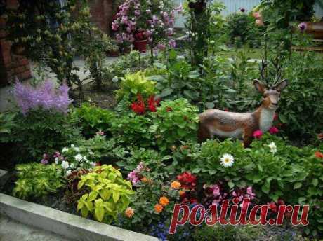 Сад своими руками(моя любимая дача) – Светлана Калашникова добавила фотографию в альбом №53 Обрамление цветника.