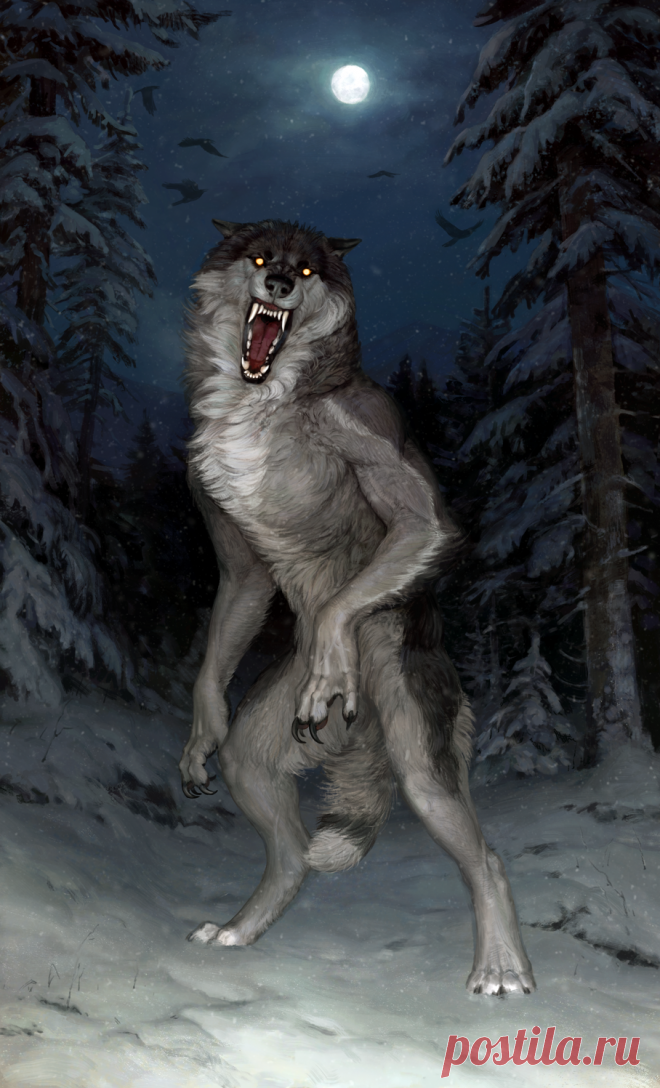 Волки в жизни человека. Черный Вольф Вольф человек волк. Вервольф волк. Оборотень Вервольф Ругару. Доисторический волк canis Dirus.