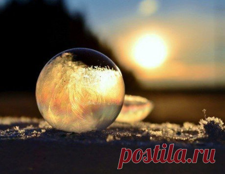 Замерзшие мыльные пузыри / Удивительное искусство