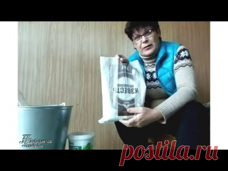 Белить деревья – как, когда и зачем | Дача - впрок
