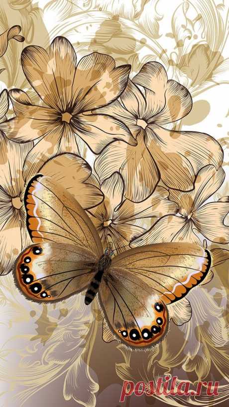 (12) Pinterest - Ƹ̵̡Ӝ̵̨̄Ʒ | Wallpaper❤Butterflies Ƹ̵̡Ӝ̵̨̄Ʒ ℓღⱴҽ