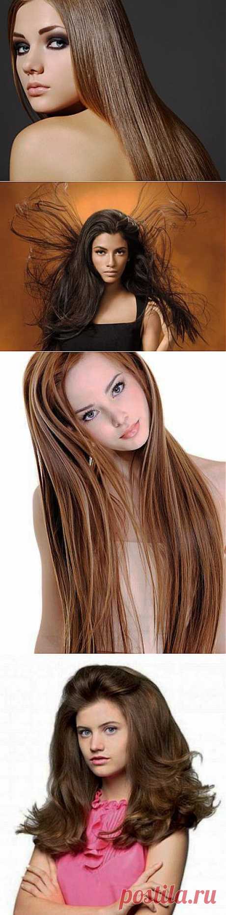 Длина волос Красота и здоровье