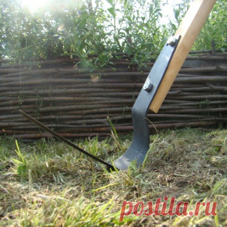 Копать или не копать, или как плоскорез Фокина увеличивает урожай и облегчает труд дачника