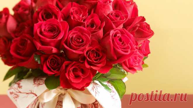 Holidays___International_Womens_Day_Bouquet_of_red_roses_on_March_8_on_pastel_background_060677_.jpg (1920×1080)