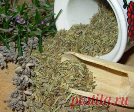 Успокаивающие травы при заболеваниях щитовидки