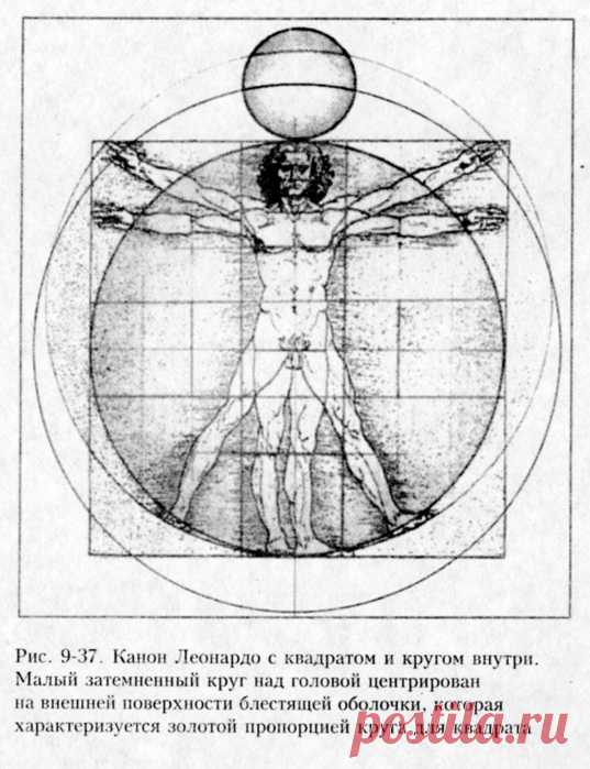 Ячеистая вселенная и... КАНОН ЛЕОНАРДО ДА ВИНЧИ.