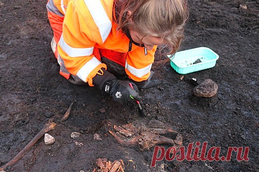 Полиция Ирландии обнаружила в болоте останки подростка возрастом более 2 тыс. лет | Bixol.Ru