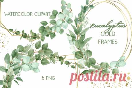 Watercolor Eucalyptus Foliage Gold Frames Clip Art (1237282) | Illustrations | Design Bundles