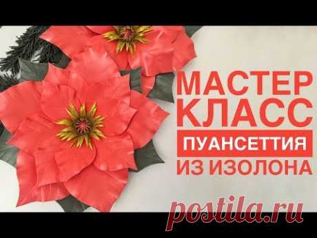 Мастер класс Пуансеттия из изолона - YouTube