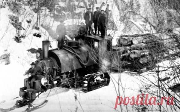 1900 год. Паровой трактор на транспортировке леса. При мощности всего в 50 л.с. мог тянуть 125 тонн бревен / Историческая справка