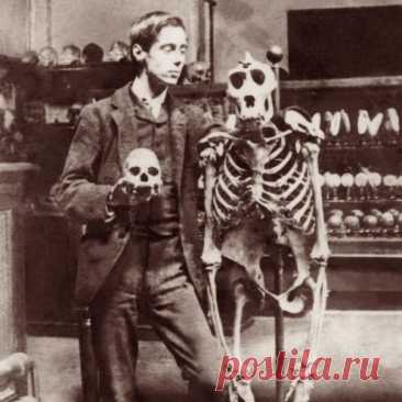 Герберт Уэллс, в то время студент-биолог, со скелетом гориллы.