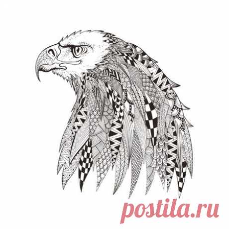 Zentangle stylized head of eagle. Hand Drawn doodle vector illustration isolated on white background. Sketch for tattoo or indian makhenda design. Can be used for postcard, t-shirt, bag or poster. 123RF - Миллионы стоковых фото, векторов, видео и музыки для Ваших проектов.