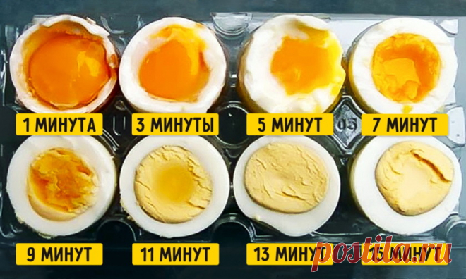 Как сварить яйцо по научно выверенному рецепту - Mail.ru Hi-Tech