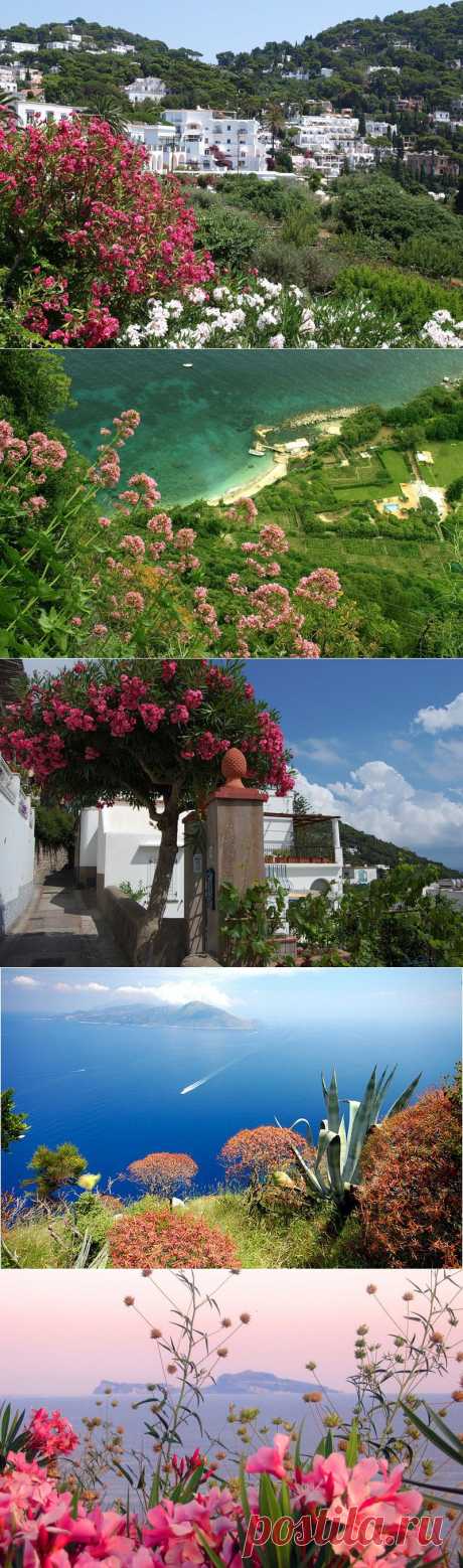 Живописный остров Капри (Capri), Италия | Newpix.ru - позитивный интернет-журнал