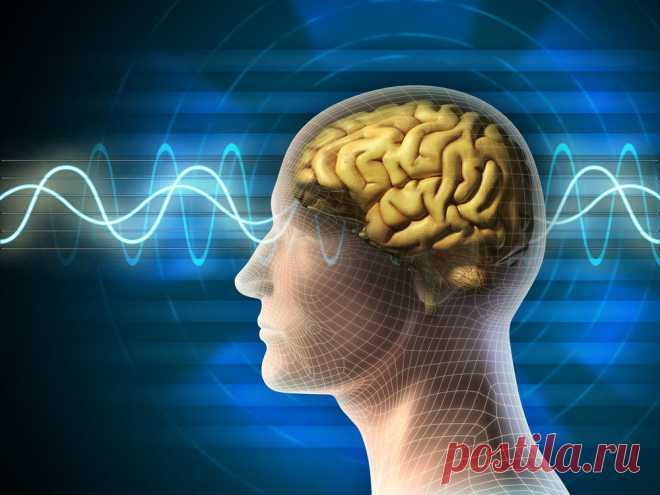 Зарядка для мозга – нейробика | ПолонСил.ру - социальная сеть здоровья