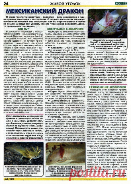 Аксолотль - мексиканский дракон