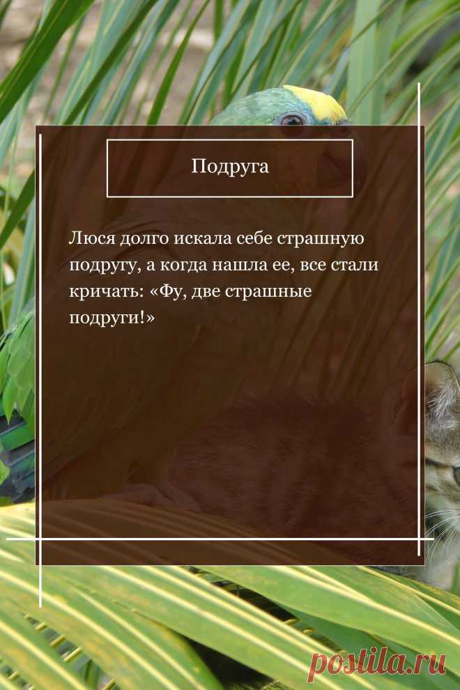 Муз тв 2023. Подруга люся была. Лучшая подруга люси чеботиной. Люся чеботина лучшая подруга. Клип люси чеботиной лучшая подруга.