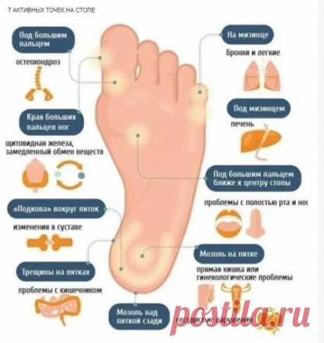 Семь активных точек на стопе