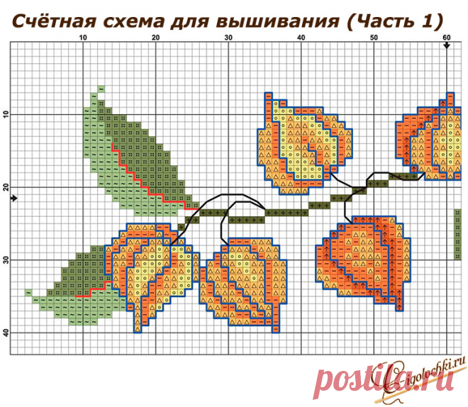 Физалис схема посадки