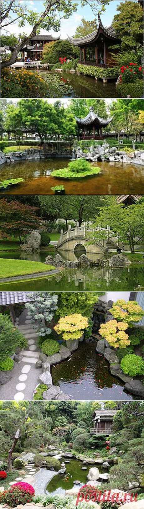 Консультация: Чем китайский сад отличается от японского? | Блог «Хочу на дачу»