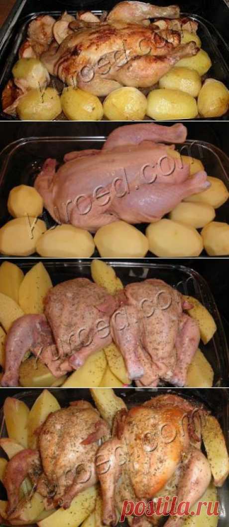 РЕЦЕПТЫ | Курица с картошкой в духовке
