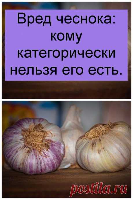 Кому нельзя есть чеснок: ответ врачей Вред чеснока: кому категорически нельзя его есть.