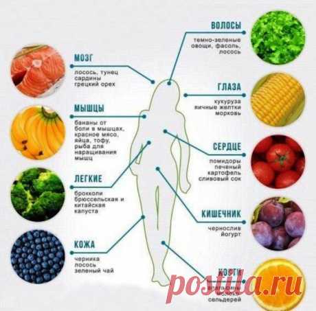 100 пищевых продуктов, наиболее полезных для здоровья